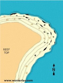 Fish and Caves